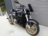 カワサキＺＸ－１２Ｒ ストリートファイター