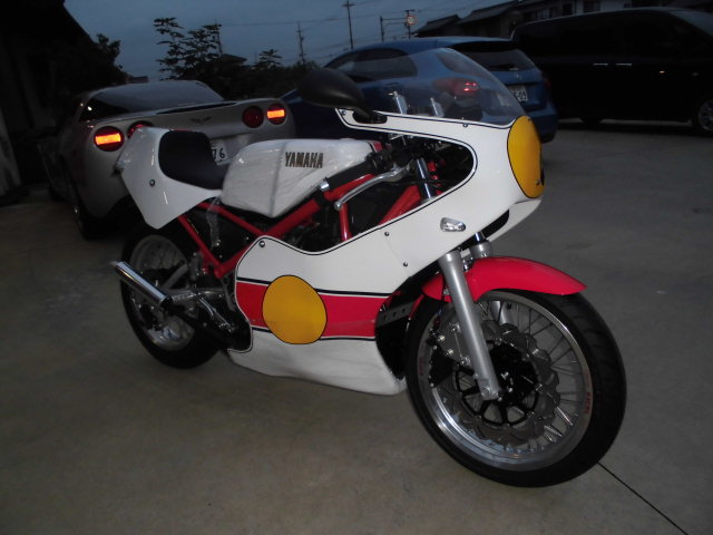 当店の最新作！！