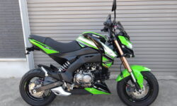 カワサキZ125PRO　KRTエディション